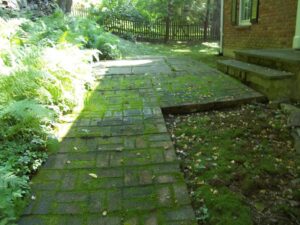 Best Pound Ridge Home Pressure Washing Services