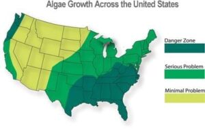 algae, growth, dirty roof, westchester, putnam and dutchess county ny, westchester power washing