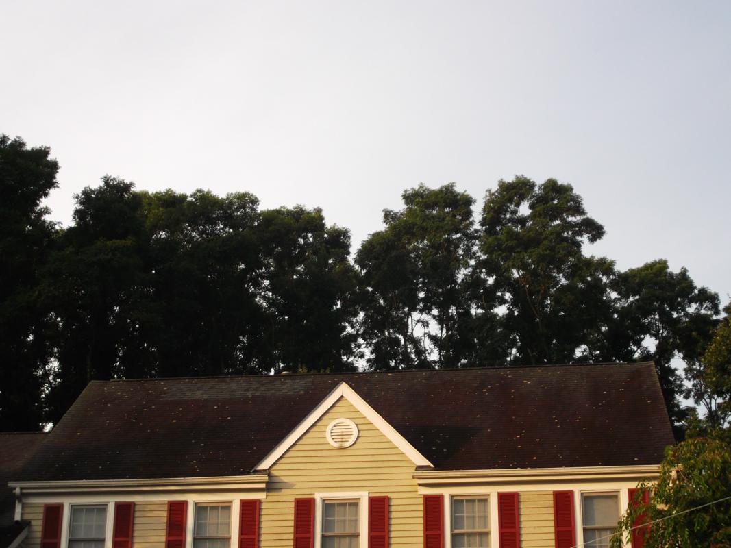 Dutchess County Roof Cleaning: Before And After dutchess-county-roof-cleaning-before