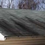 roof algae- westchester power washing