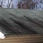 roof algae- westchester power washing company, rye brook pressure washing