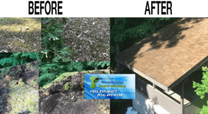 Best-Rated Armonk Roof Washing Companies Best-Rated Armonk Roof Washing Companies