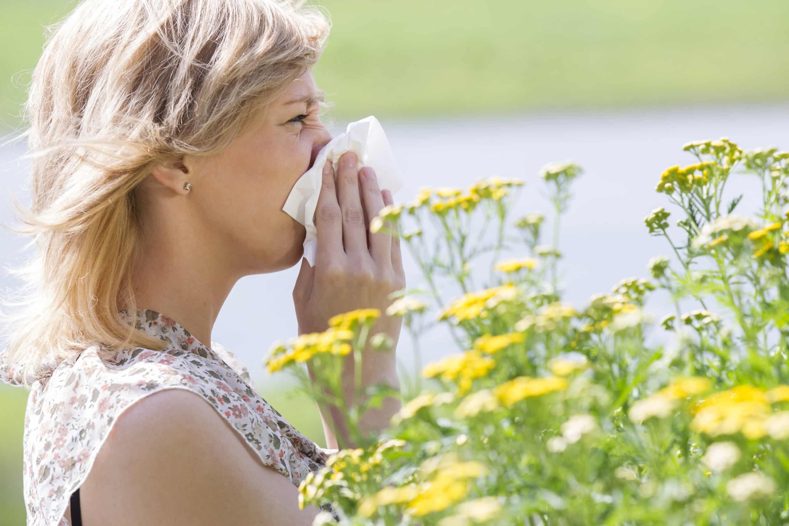 Side view of woman blowing nose into tissue in front of flowers. 5 Reasons to Make Pressure Washing Pollen Away a Priority