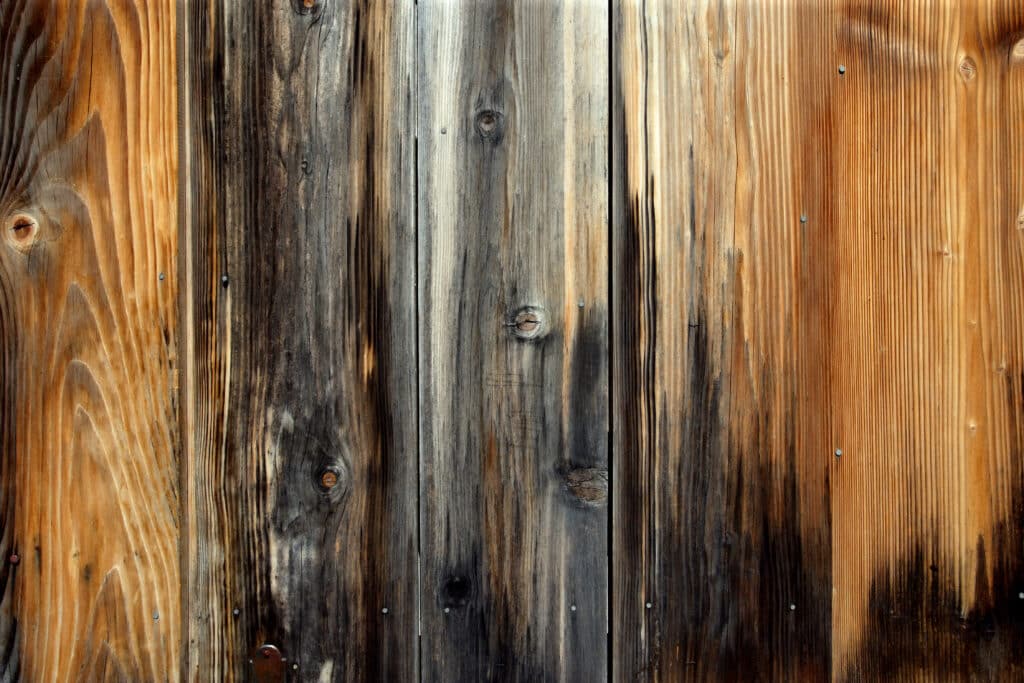 A Complete Guide to Understanding Wood Rot