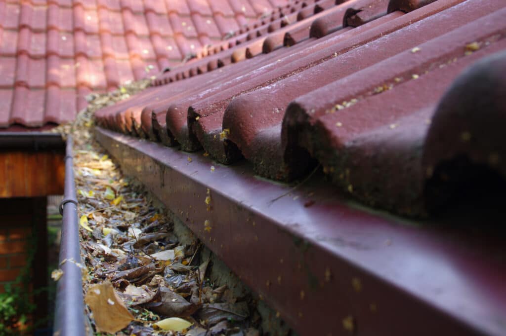 Clogged gutter through the leaves. Spring and autumn cleaning of the roof gutter. Remove Tiger Stripes