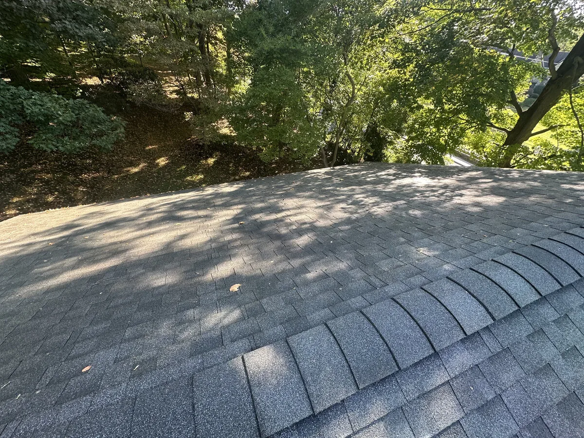 Same roof after low-pressure soft washing, algae streaks removed