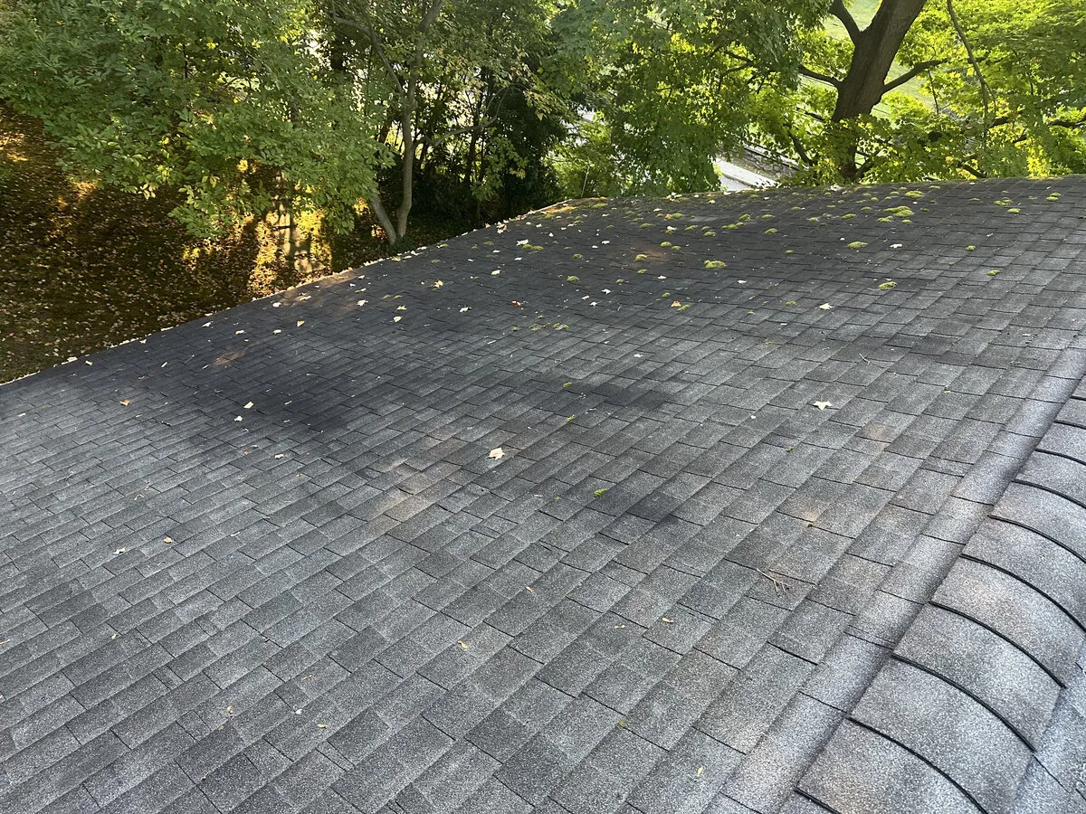 Asphalt shingle roof with black algae streaks before soft washing, Westchester NY